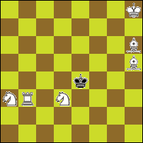 Шахматная задача №76098