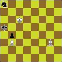 Шахматная задача №76462