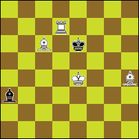 Шахматная задача №76562