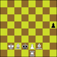 Шахматная задача №76697