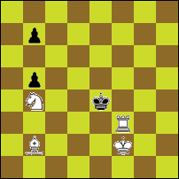 Шахматная задача №76763
