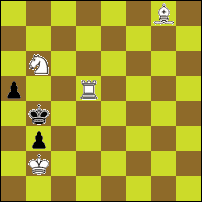 Шахматная задача №76869