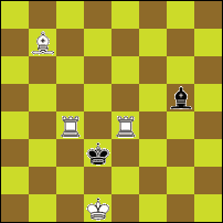 Шахматная задача №76901