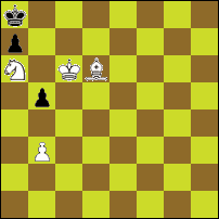 Шахматная задача №76913