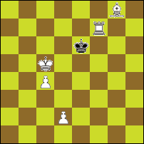 Шахматная задача №77030