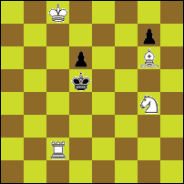 Шахматная задача №77033