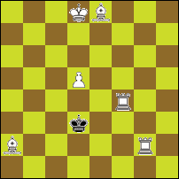 Шахматная задача №77035