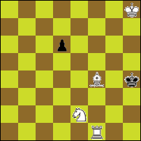 Шахматная задача №77052