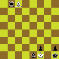Шахматная задача №77091
