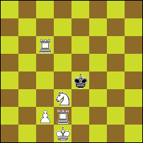 Шахматная задача №77101