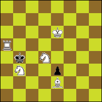 Шахматная задача №77402