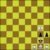 Шахматная задача №77872