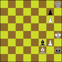 Шахматная задача №78021