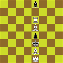 Шахматная задача №78043