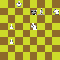 Шахматная задача №78054