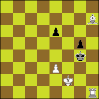 Шахматная задача №78060