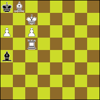 Шахматная задача №78072