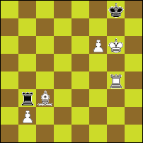 Шахматная задача №78074