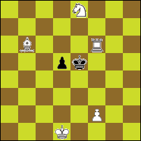 Шахматная задача №78077
