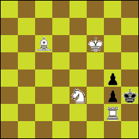Шахматная задача №78110