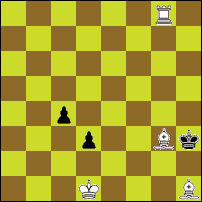 Шахматная задача №78304