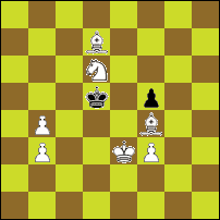 Шахматная задача №79132