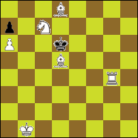 Шахматная задача №79523