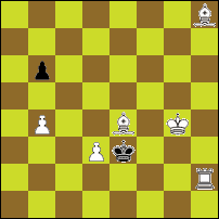 Шахматная задача №79531