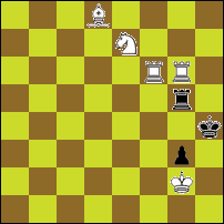 Шахматная задача №79906