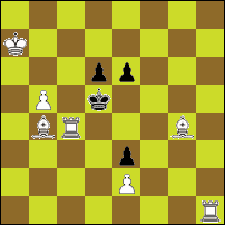 Шахматная задача №80058