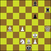 Шахматная задача №81219