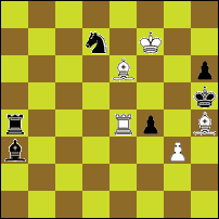 Шахматная задача №81258