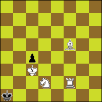 Шахматная задача №81445