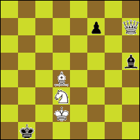 Шахматная задача №81505