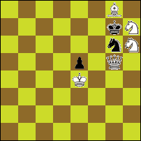 Шахматная задача №81539