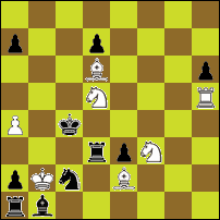 Шахматная задача №82019