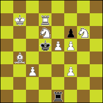 Шахматная задача №82822