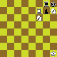 Шахматная задача №82898