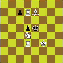 Шахматная задача №83529