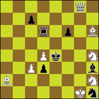 Шахматная задача №84566