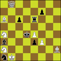 Шахматная задача №84578