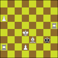 Шахматная задача №84896