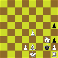 Шахматная задача №86113