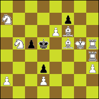 Шахматная задача №86507