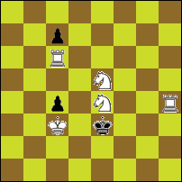 Шахматная задача №86670