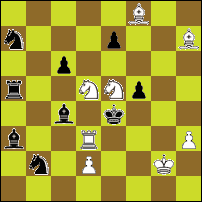 Шахматная задача №88019