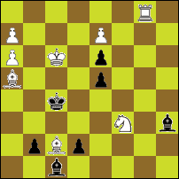 Шахматная задача №88132