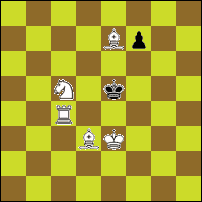 Шахматная задача №89131