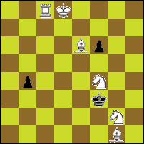 Шахматная задача №89768