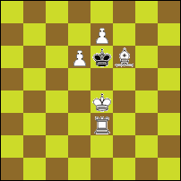 Шахматная задача №89859